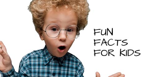 10 Fun Water Facts for Kids – BerkeyHome