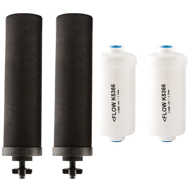 Replacement Filters & Fluoride Filters Combo Pack - Includes 2